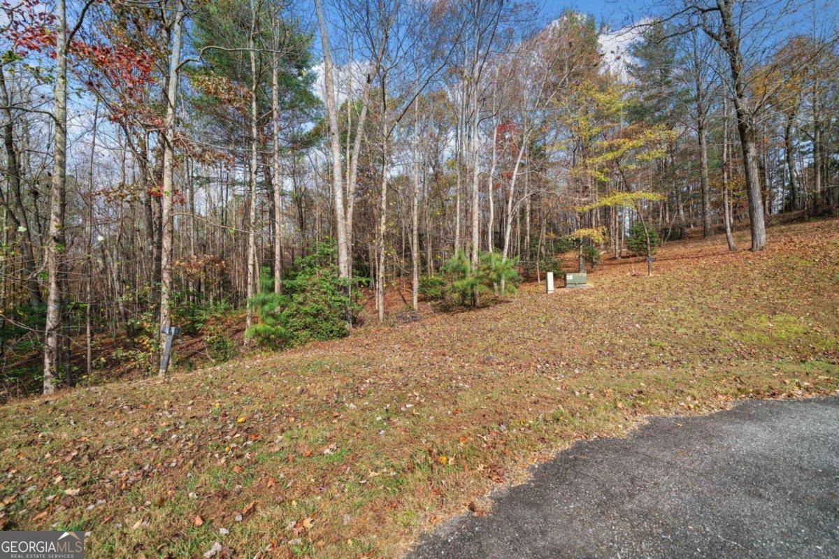 Ellijay, GA 30536,LOT 15 Highpoint Ridge CT