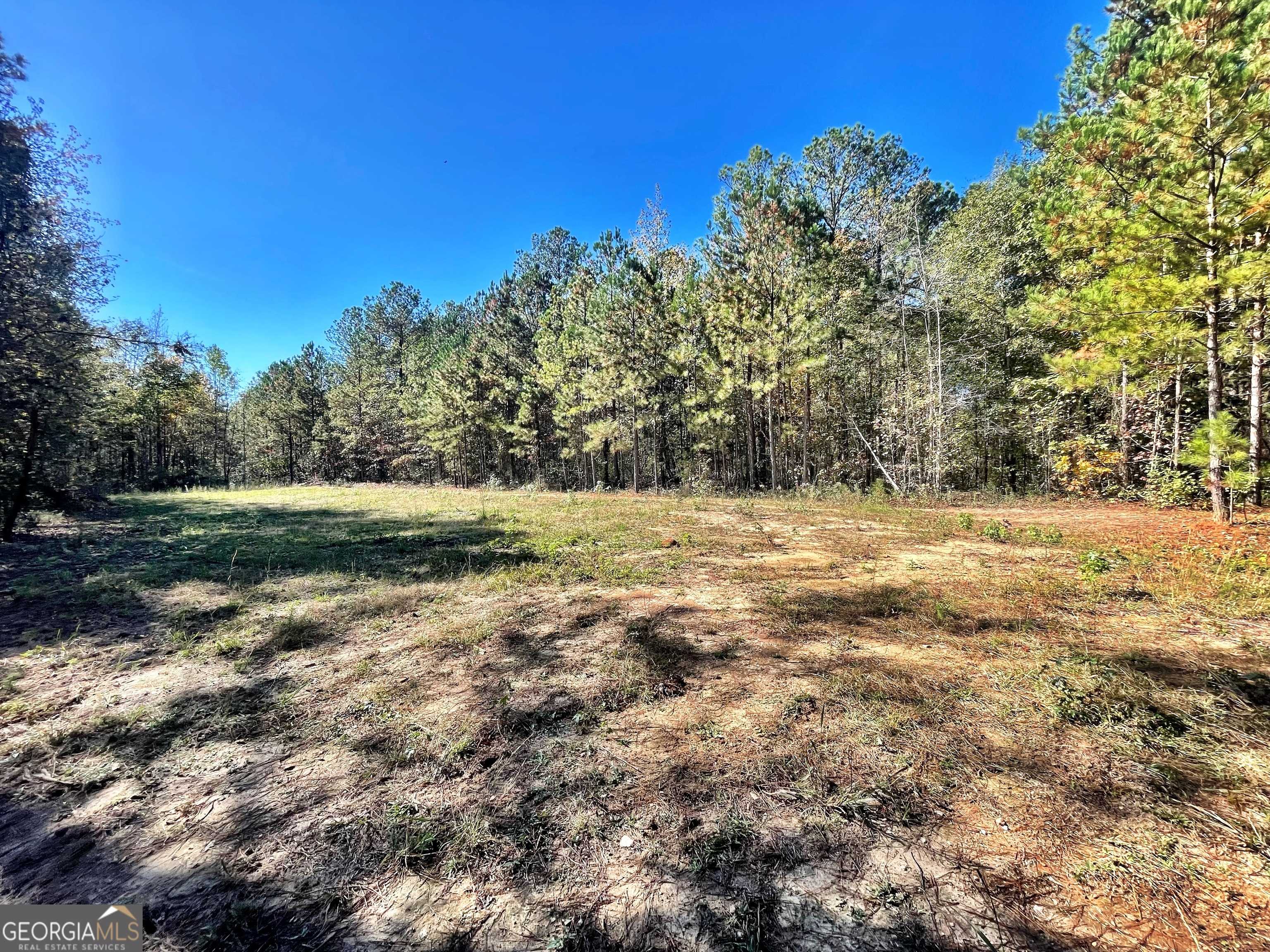 Forsyth, GA 31029,0 Teagle Rd