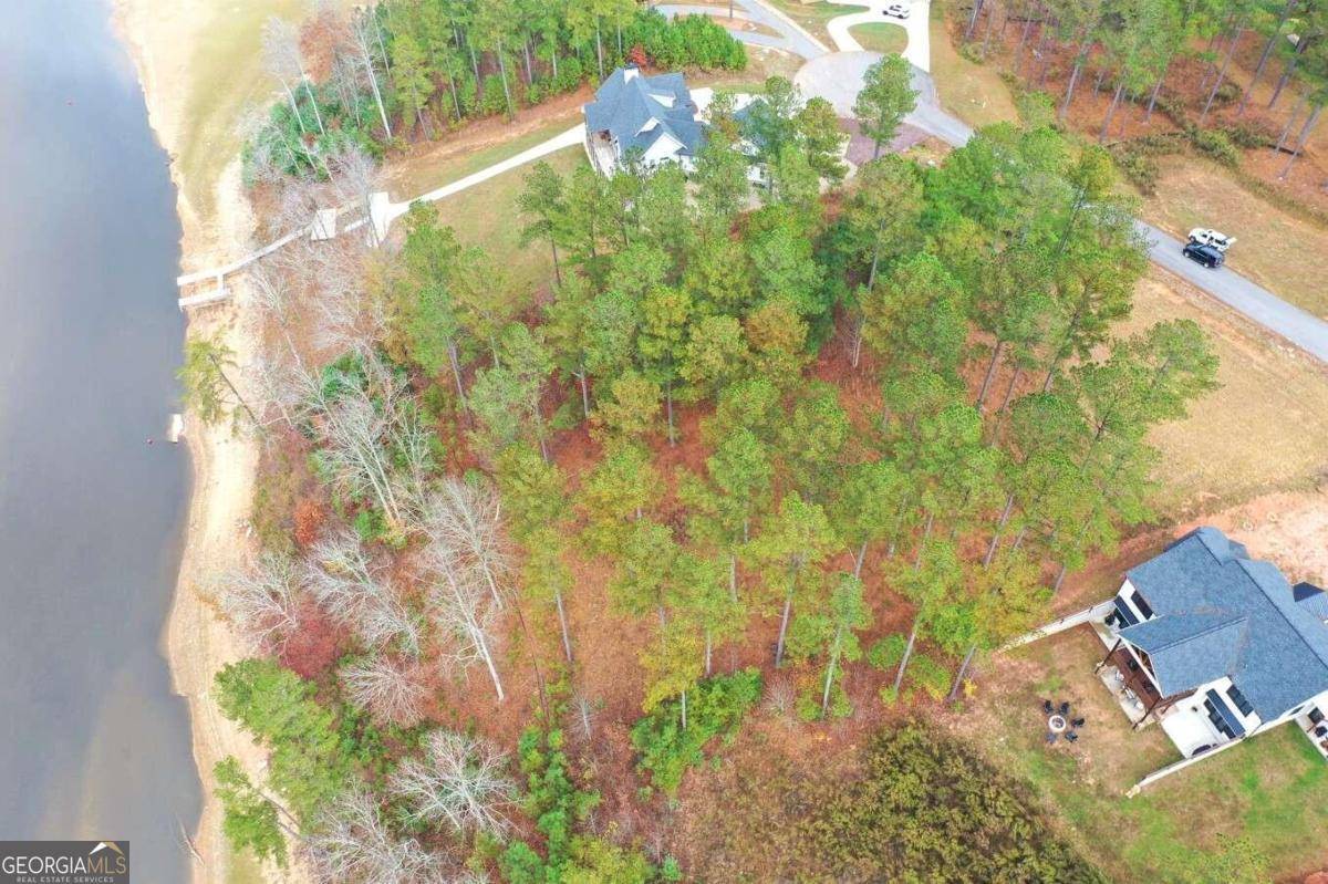 Blairsville, GA 30512,LOT 214 Thirteen Hundred