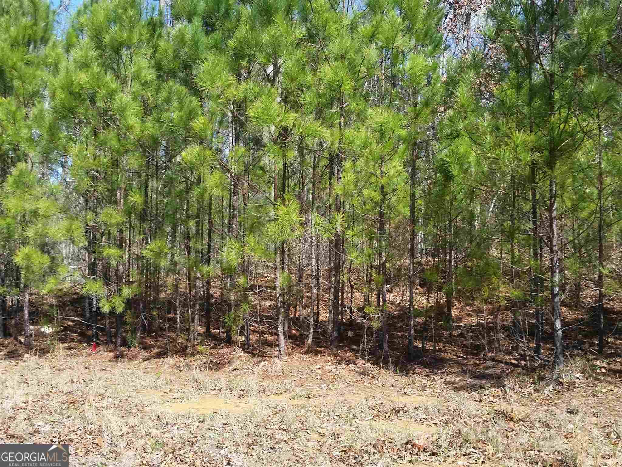 Dallas, GA 30157,98 Shawnee TRL #LOT 30