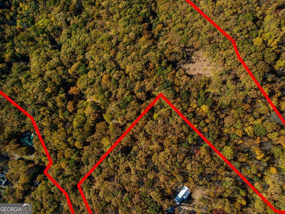 Jasper, GA 30143,40.5 AC Windsong