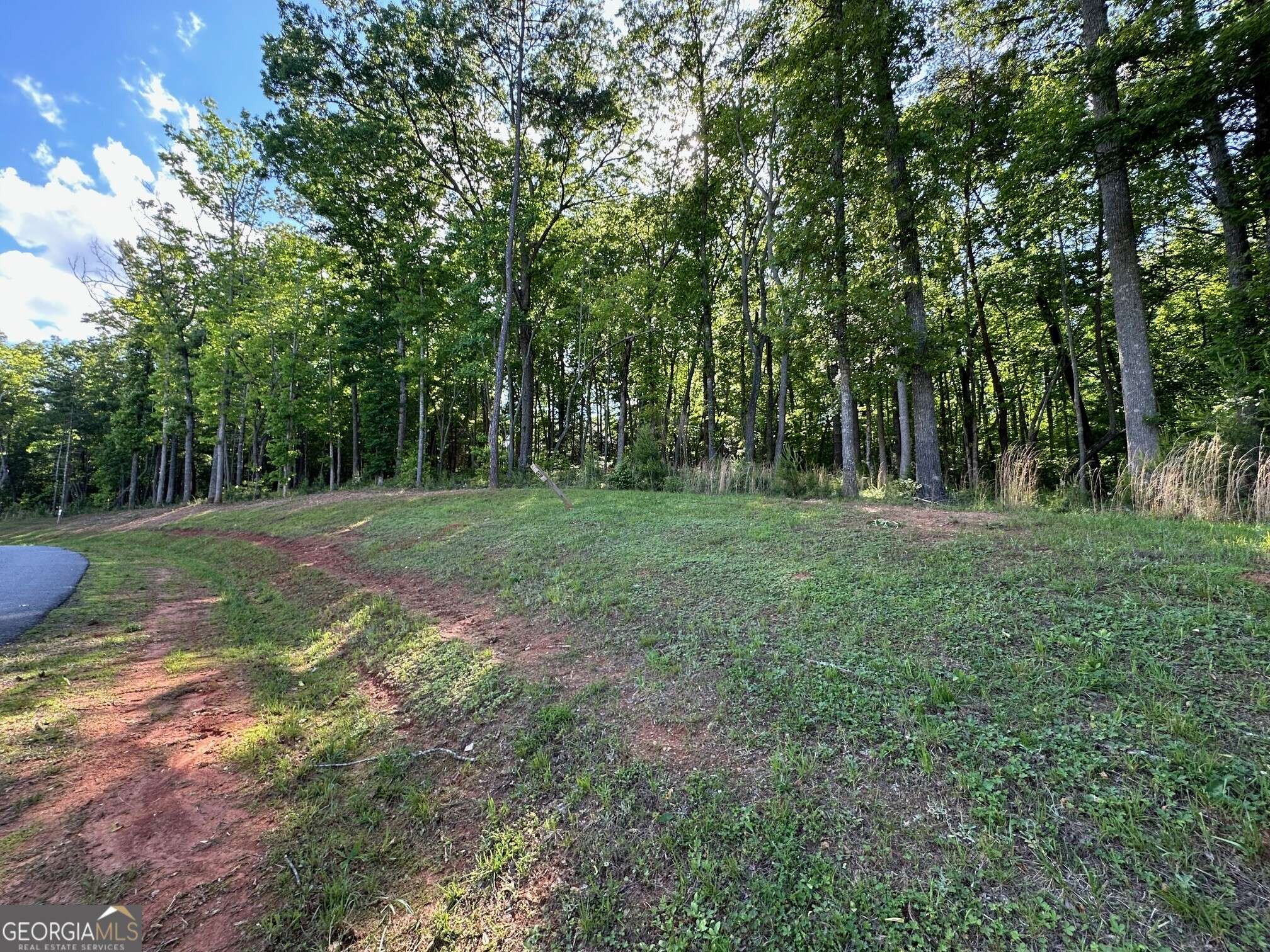 Blairsville, GA 30512,LT 153 Oakwood Way