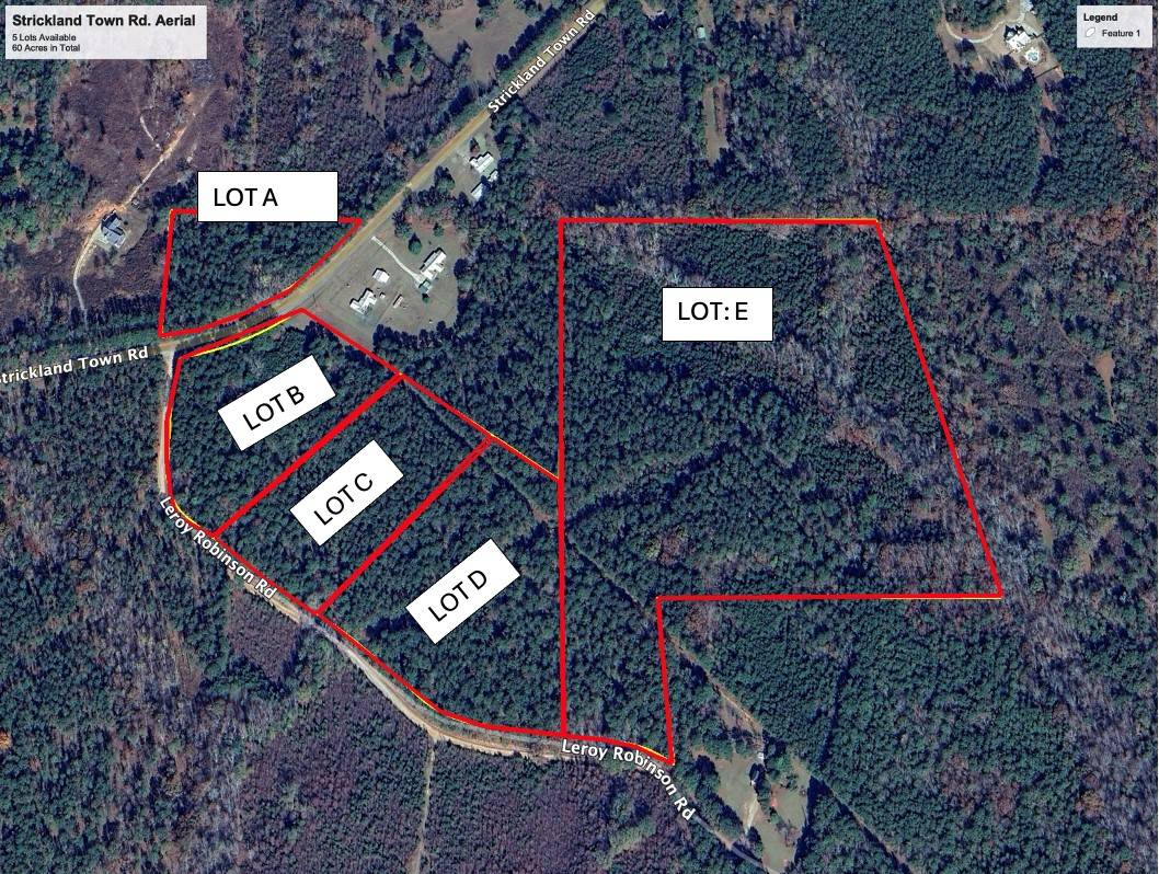 Luthersville, GA 30251,0 Strickland Town RD #LOT B