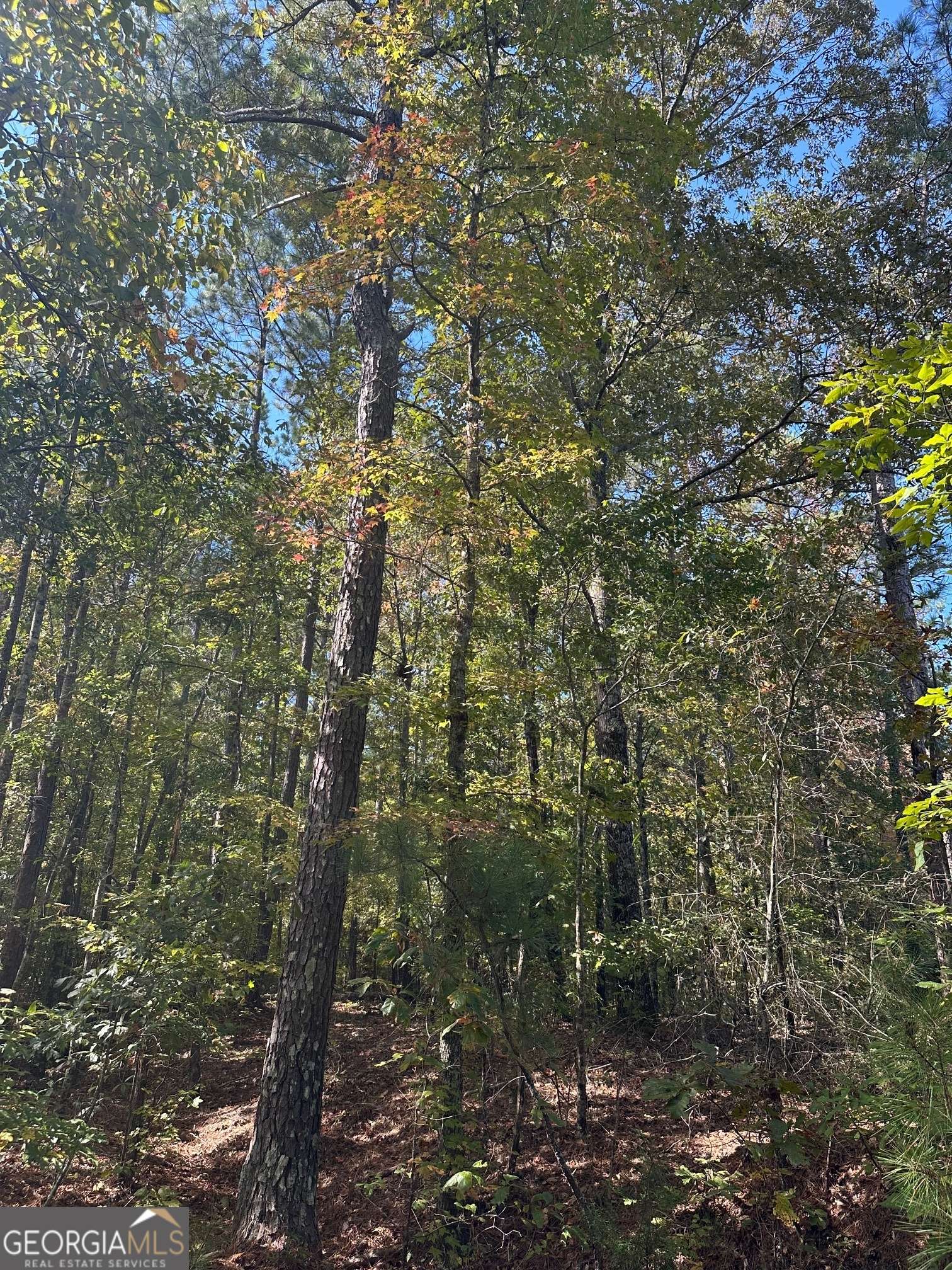 Luthersville, GA 30251,0 Strickland Town RD #LOT B