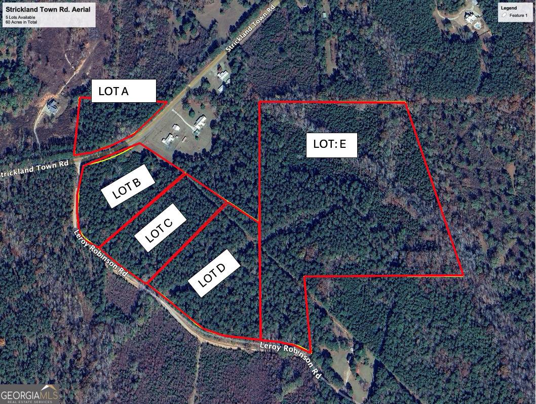 Luthersville, GA 30251,0 Strickland Town RD #LOT B