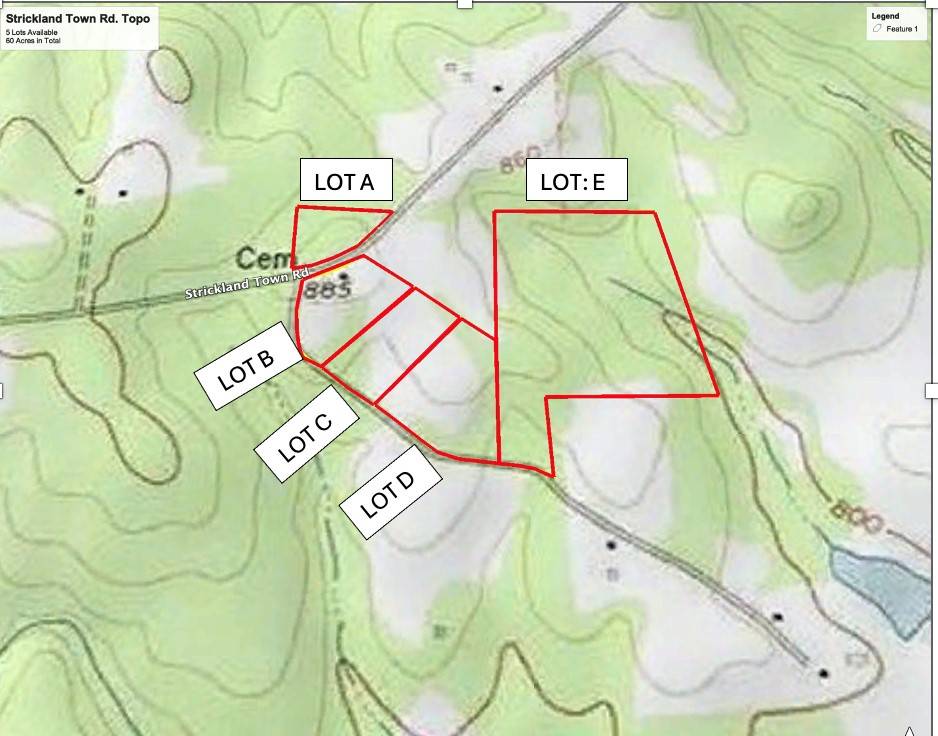 Luthersville, GA 30251,0 Strickland Town RD #LOT C