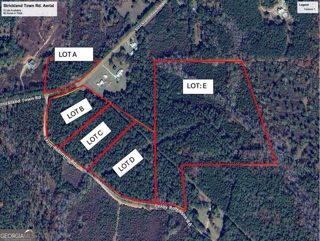 Luthersville, GA 30251,0 Strickland Town RD #LOT C