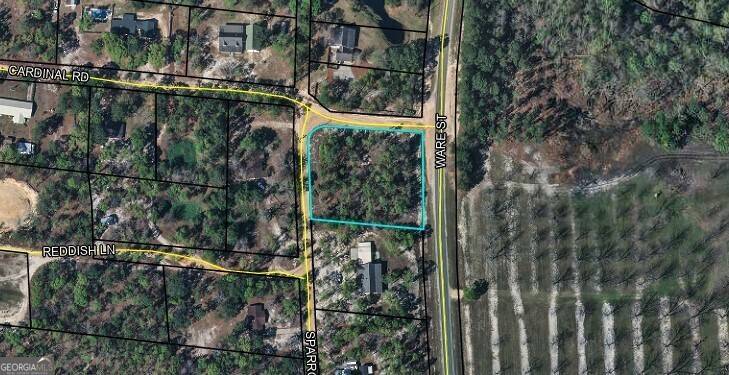 Blackshear, GA 31516,0000 Cardinal RD