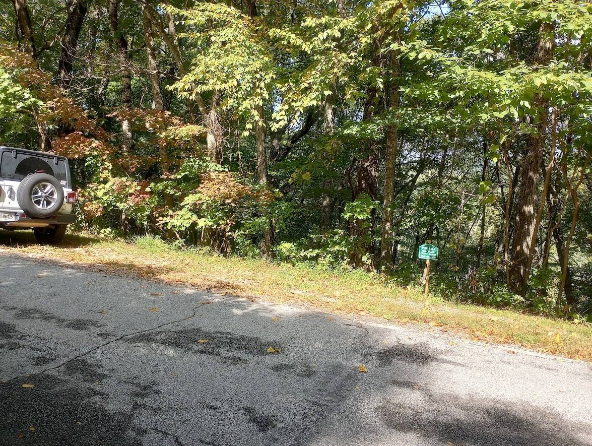 Sky Valley, GA 30537,0 Ridgepole #LOT 40