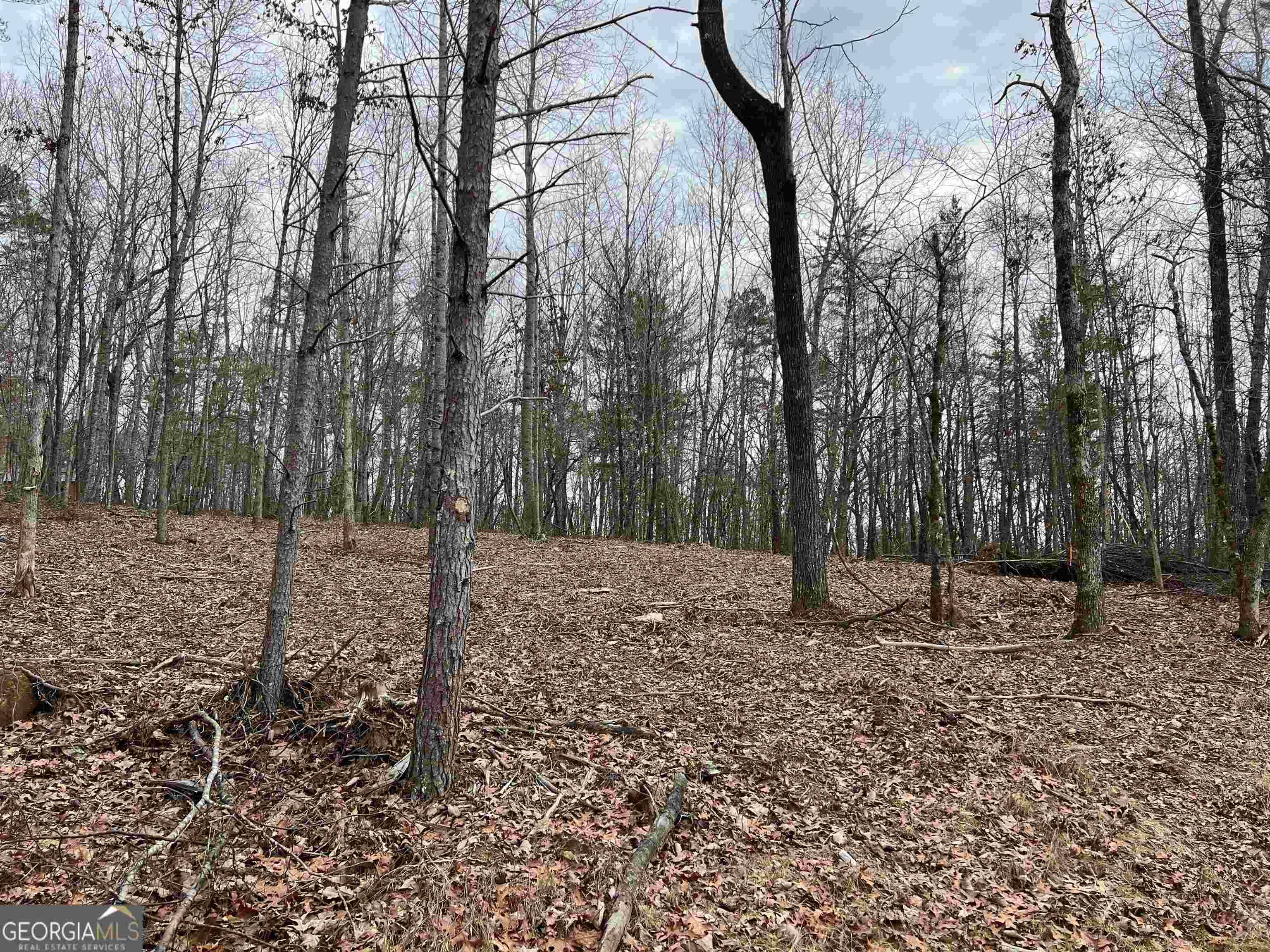 Clarkesville, GA 30523,LOT 108 Sautee Trace #108