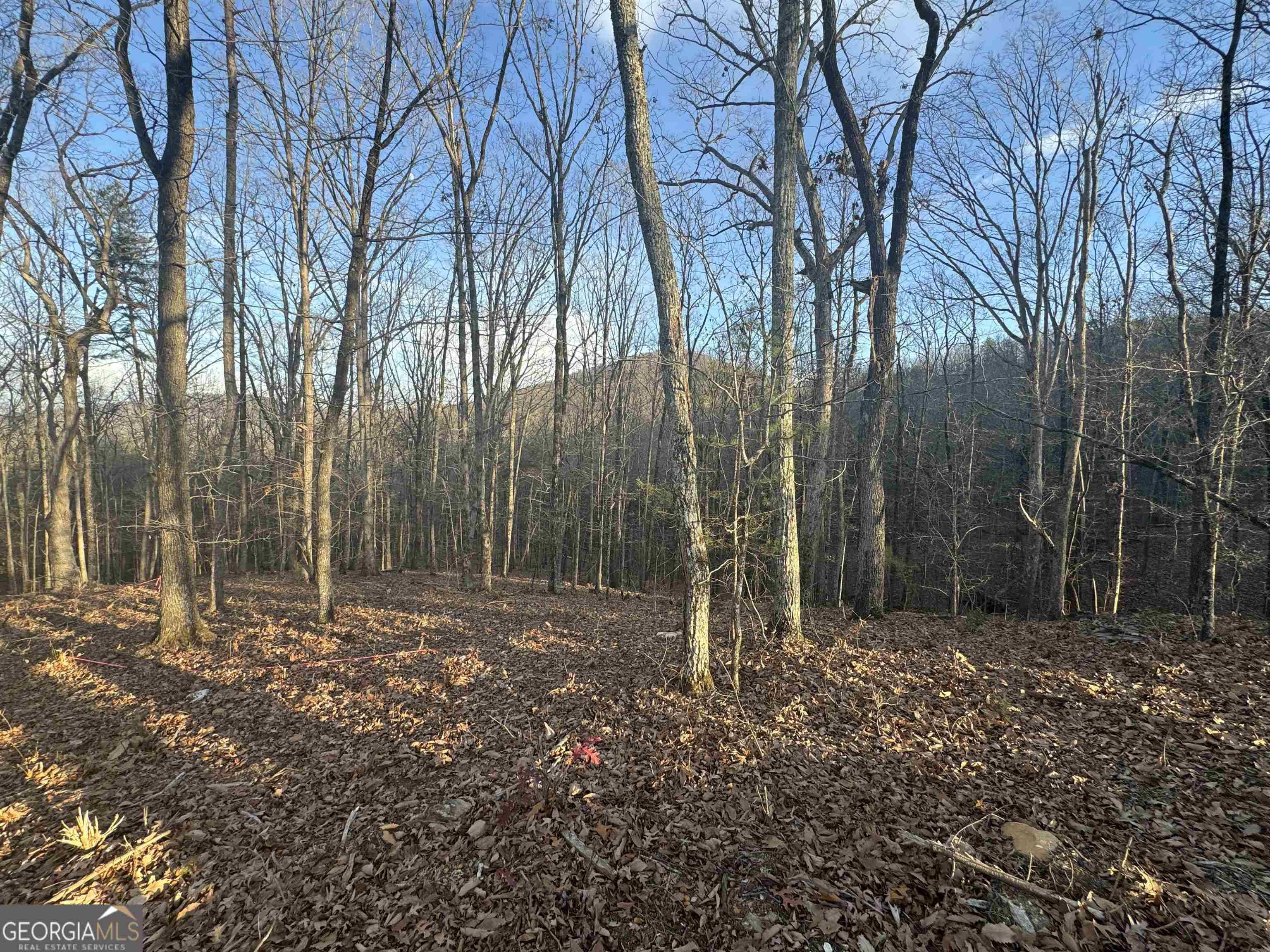 Cleveland, GA 30528,LOT 55 Teel Mtn DR