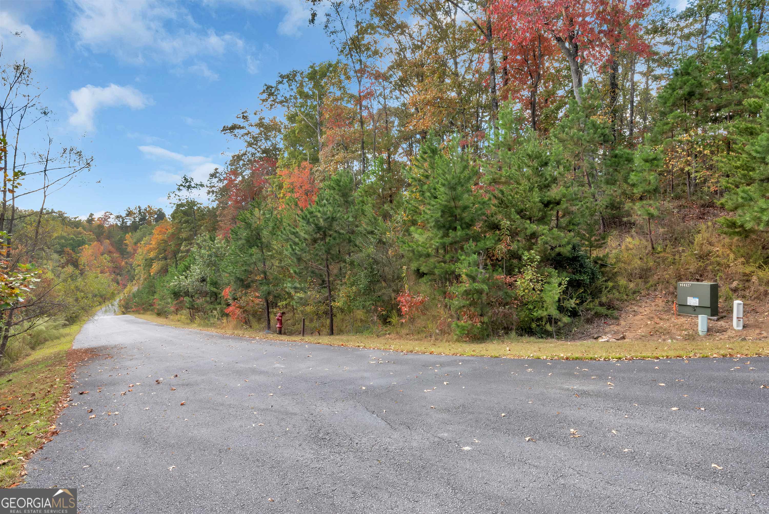 Demorest, GA 30535,LOT 12 Rockhouse XING