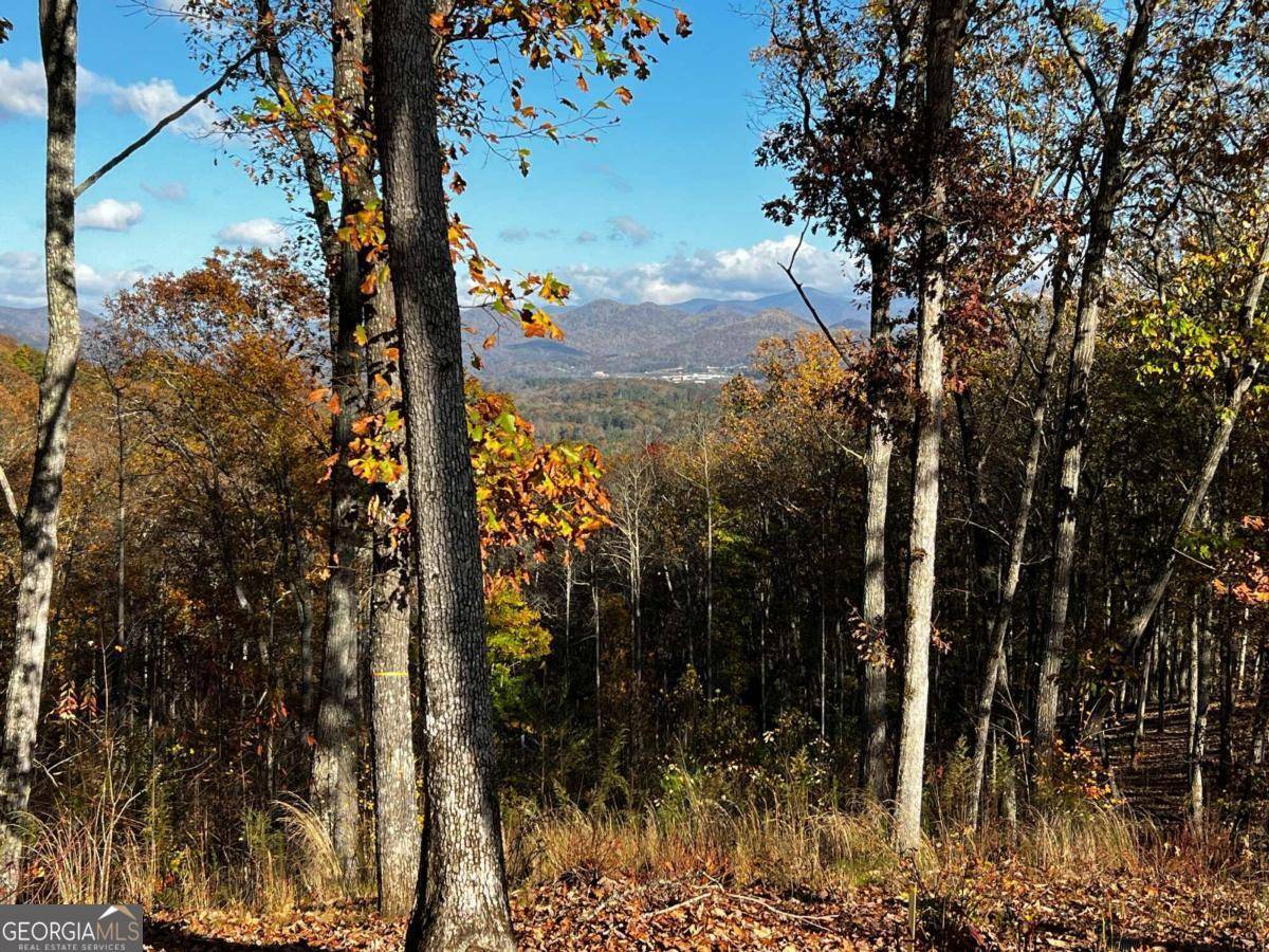 Blairsville, GA 30512,LOT 118 Winding Ridge