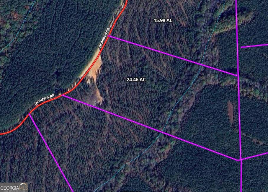 Franklin, GA 30217,TR 3 24.46 AC Pike RD