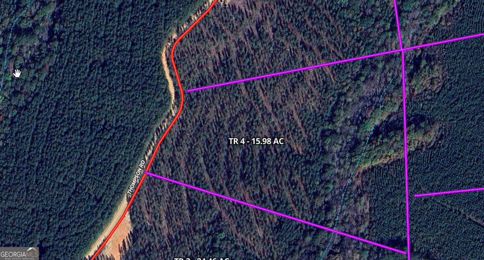 Franklin, GA 30217,TR 4 15.976 AC Pike RD