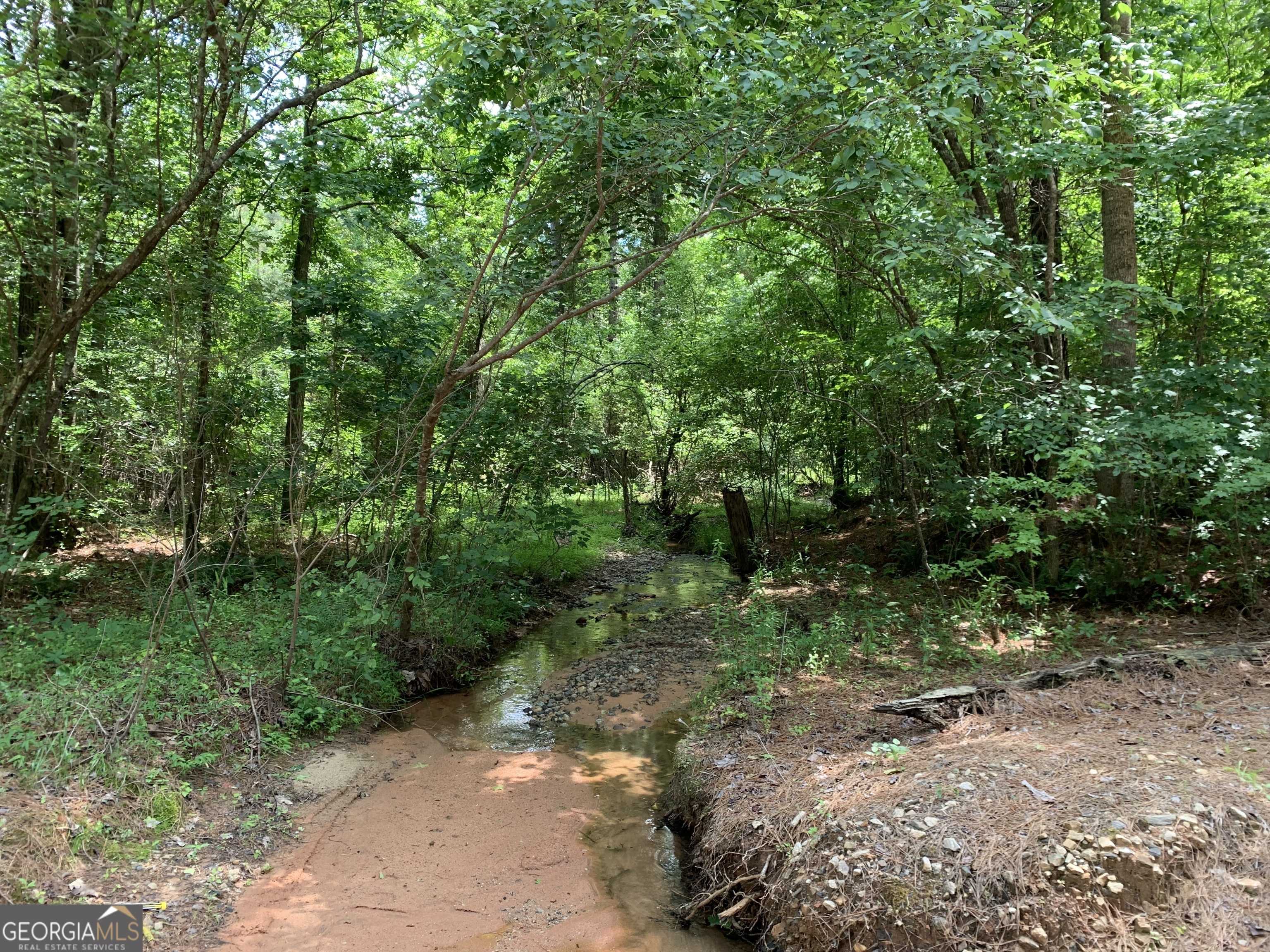 Franklin, GA 30217,303+/- AC Pike RD