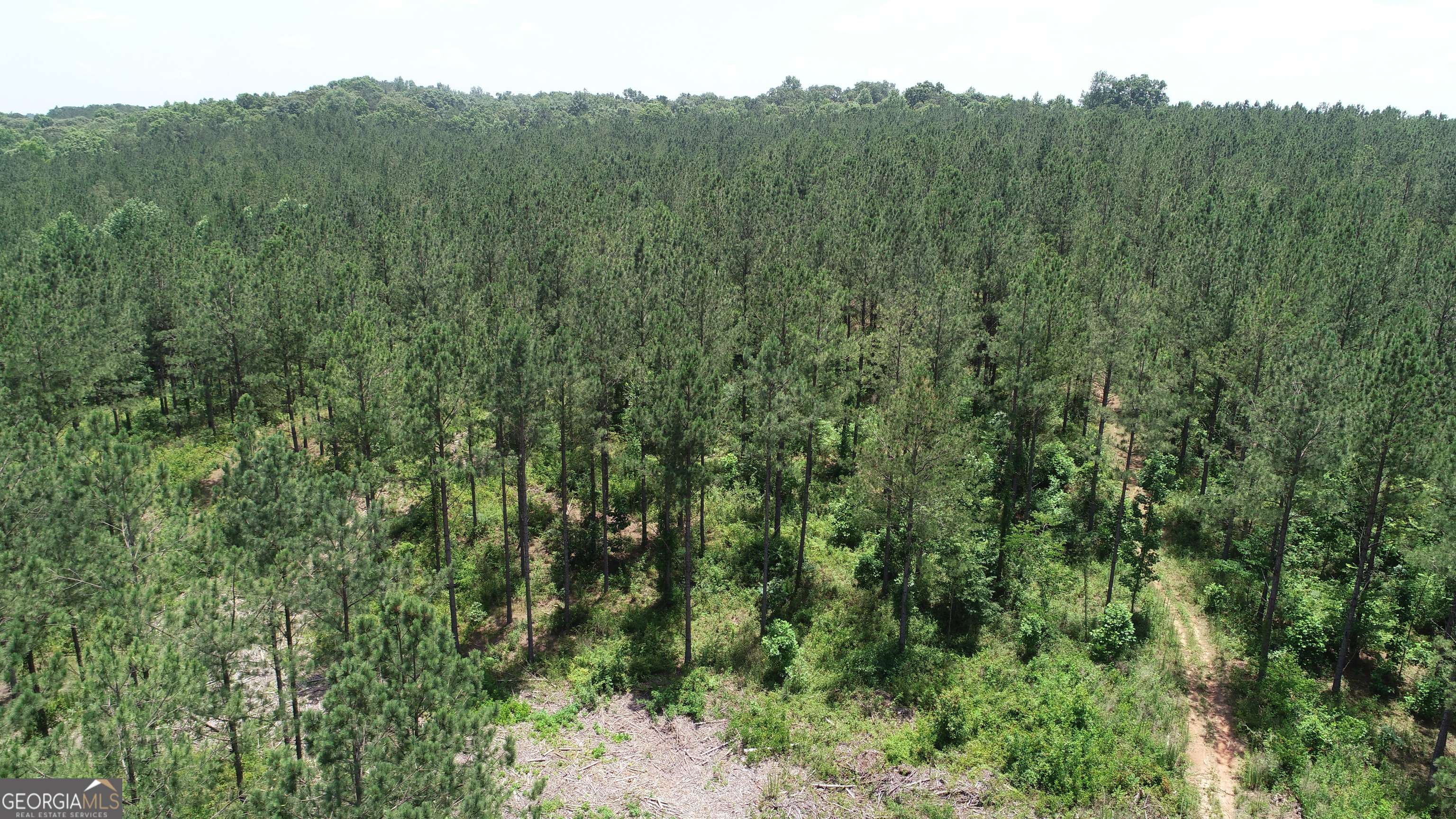 Franklin, GA 30217,130.77+/- AC Straylott RD