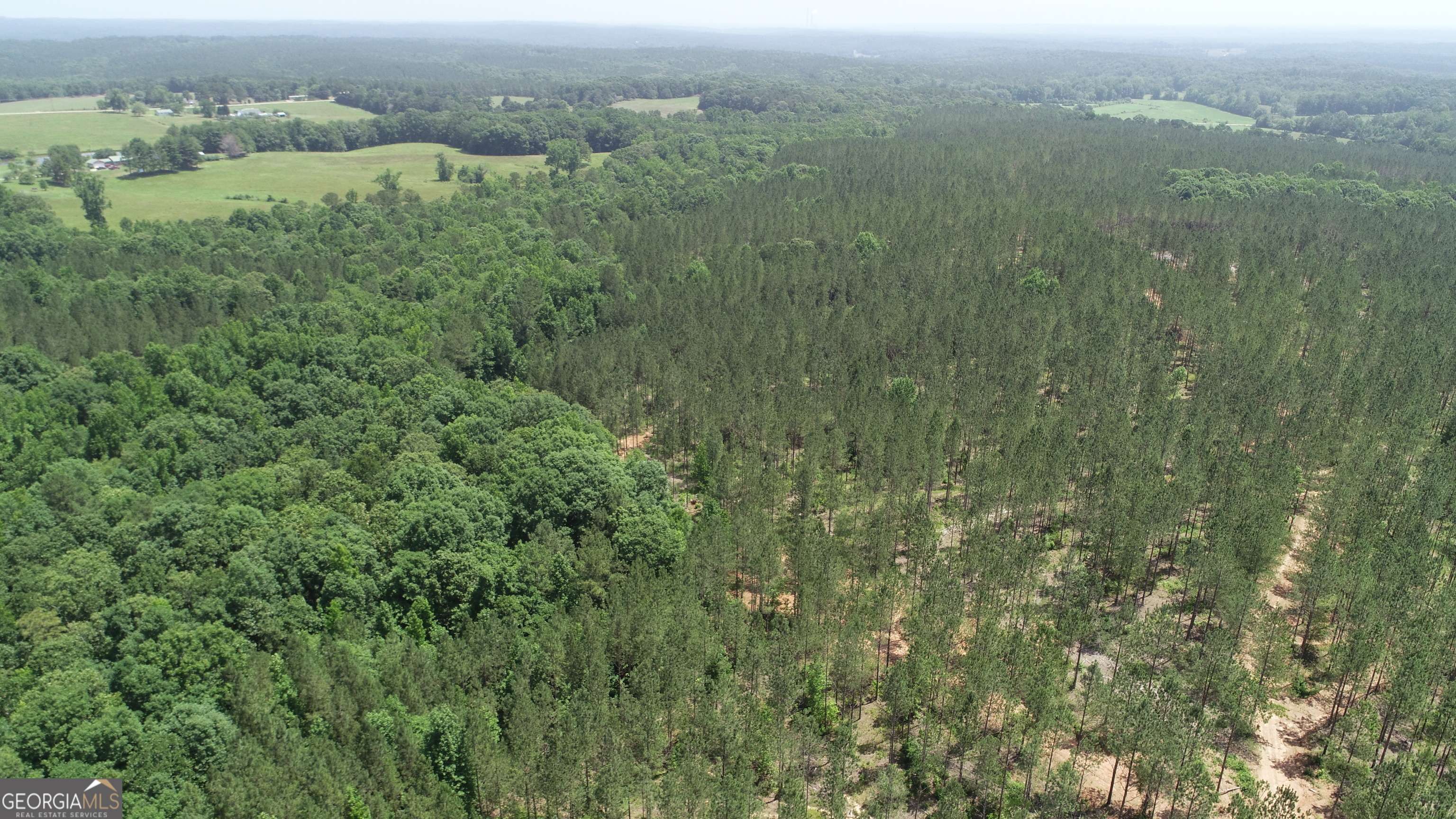 Franklin, GA 30217,176.91+/- AC Peace LN