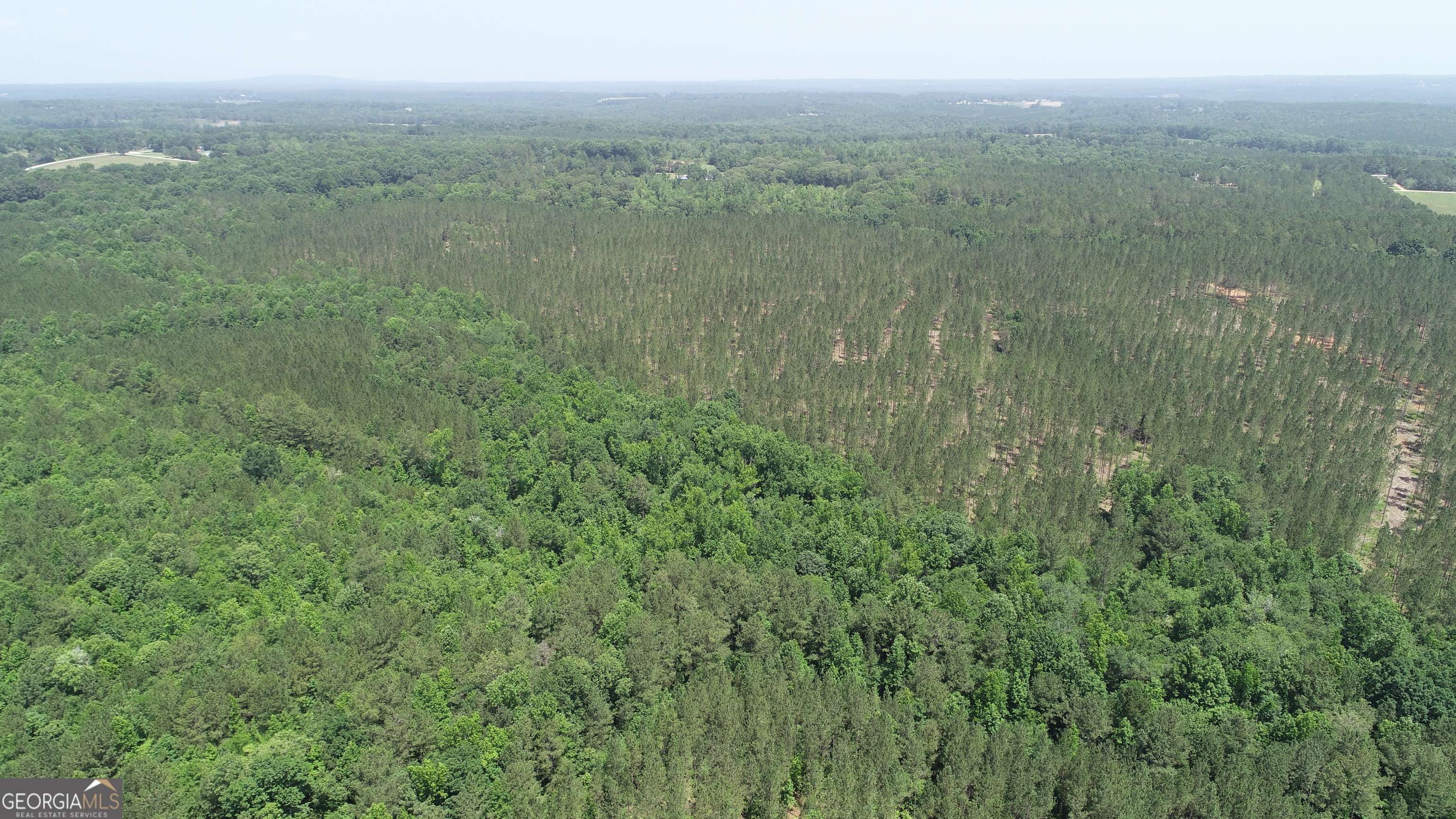 Franklin, GA 30217,176.91+/- AC Peace LN