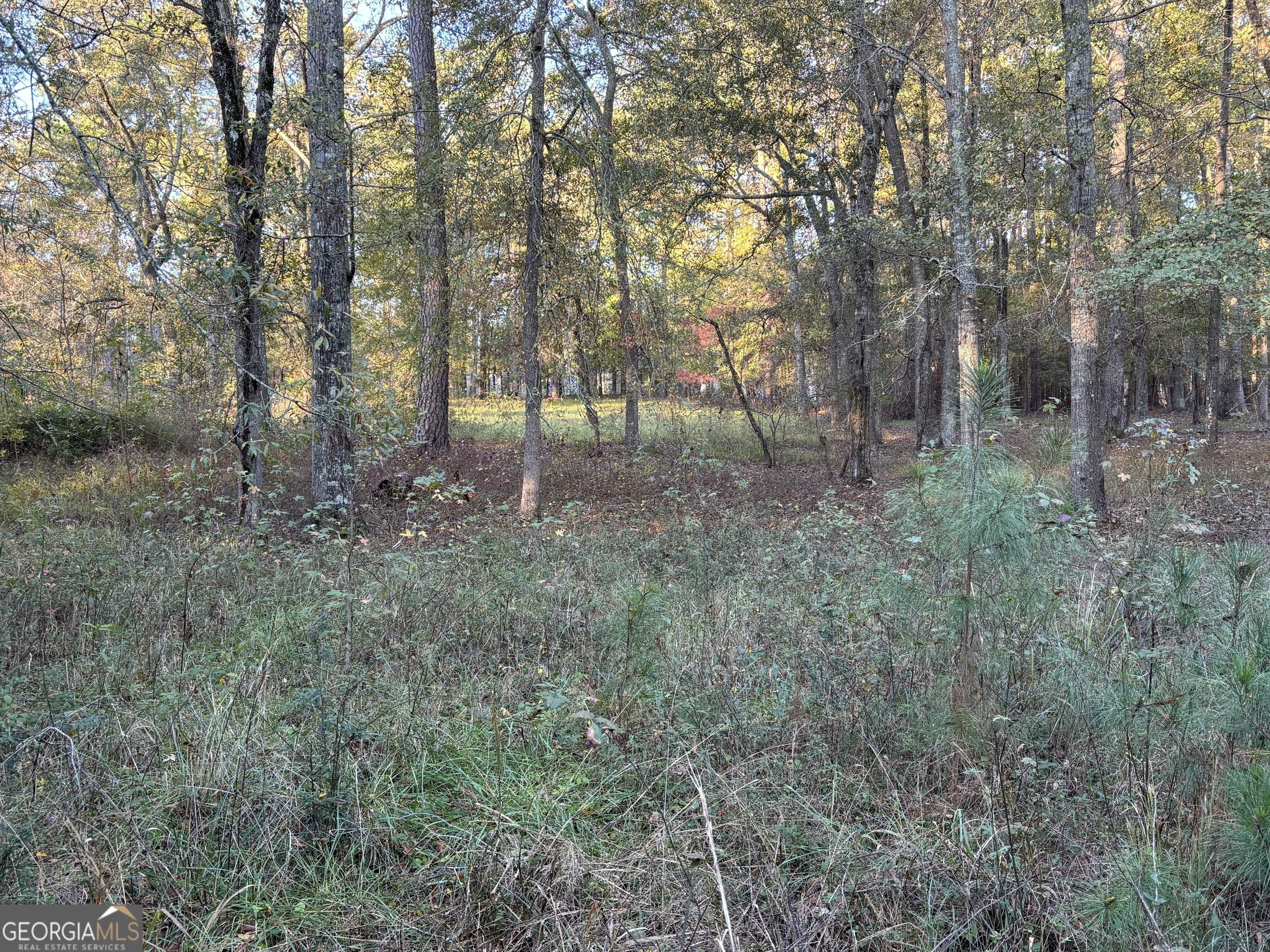 Eatonton, GA 31024,0 Possum Point Dr Lot 4