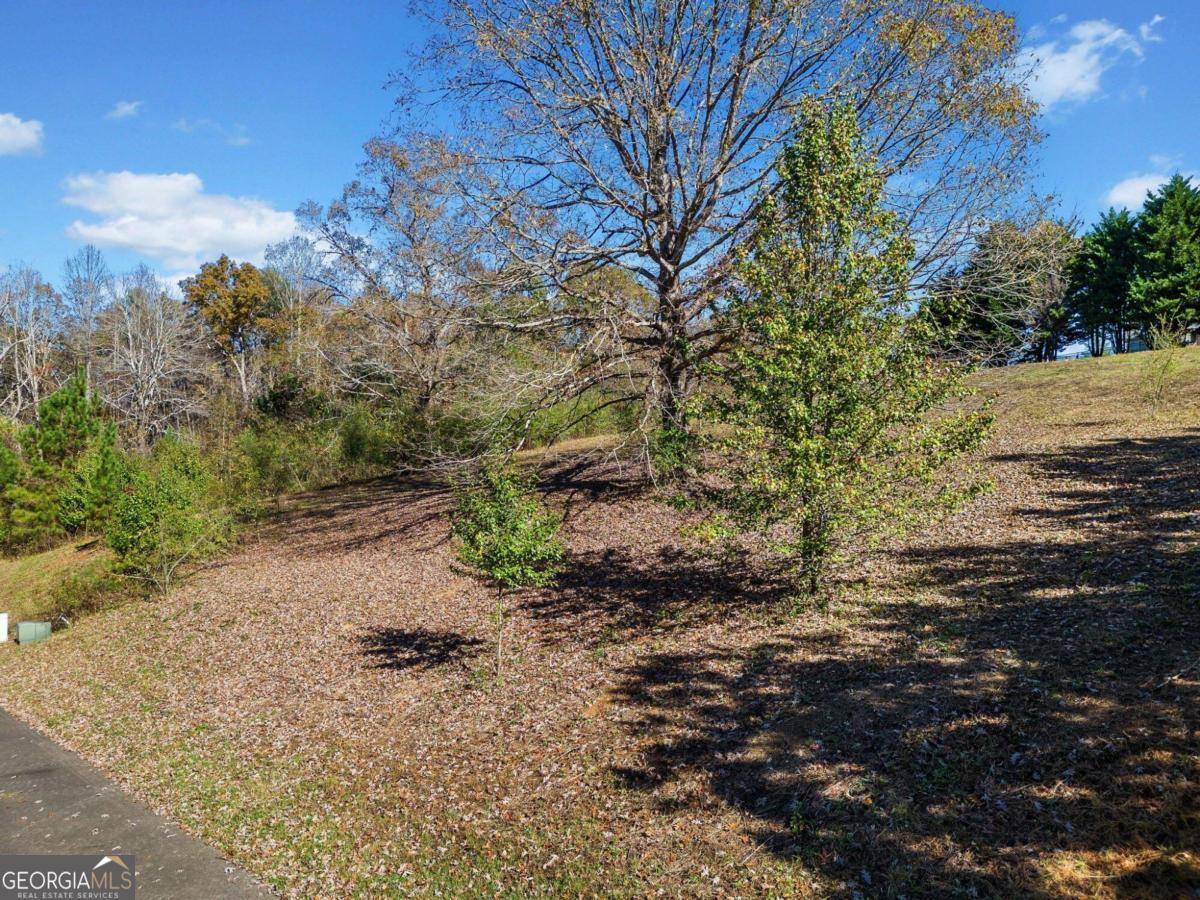 Ellijay, GA 30540,LOT 113 Oak Valley CT