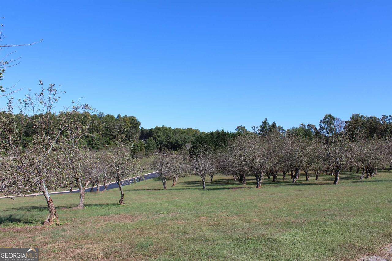 Clarkesville, GA 30523,0 Orchard Hills DR #LOT 33