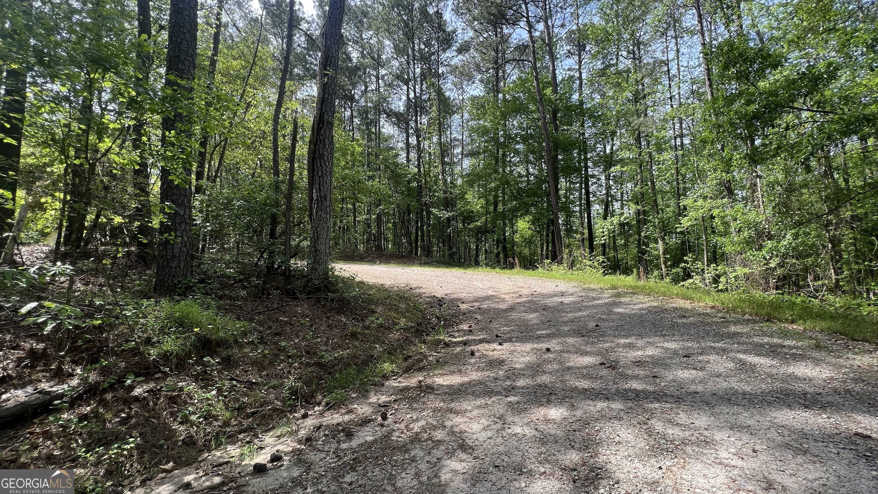 Monticello, GA 31064,0 Pigeon CIR #LOT 175