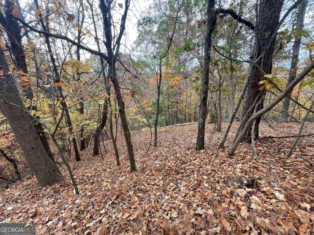 Ellijay, GA 30540,LOT 468 Cherokee CT