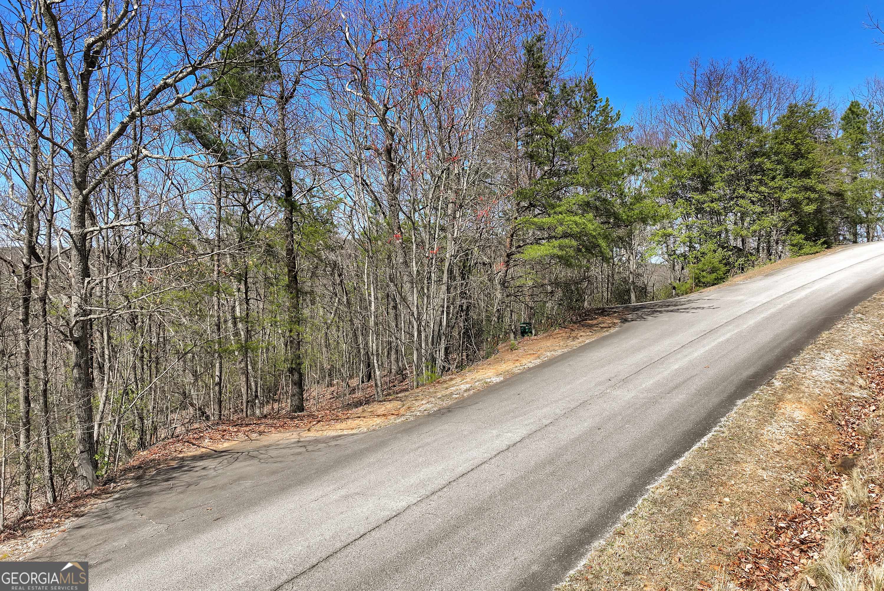 Clarkesville, GA 30523,335 Highland DR #LOT 19