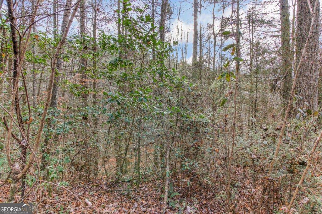 Ellijay, GA 30540,LOT 2 Laurel Overlook RD