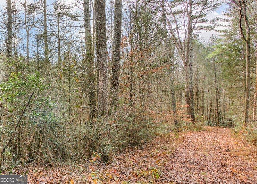 Ellijay, GA 30540,LOT 2 Laurel Overlook RD