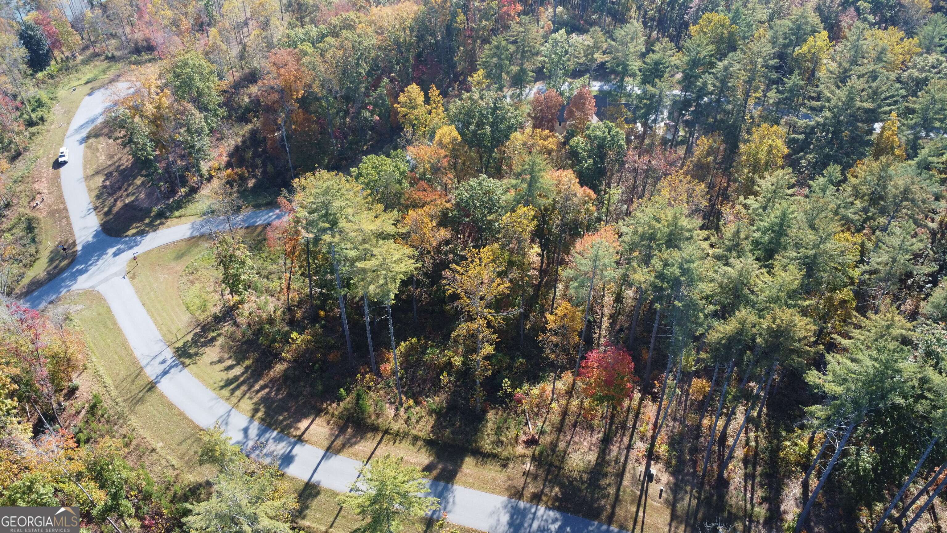 Sautee Nacoochee, GA 30571,LOT 73 Leisure Mountain TRL