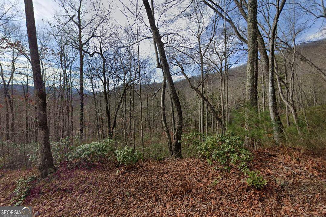 Hiawassee, GA 30546,0 Albert Road