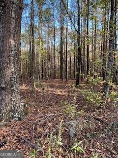 Brooks, GA 30205,LOT 4 Brooks Woolsey RD