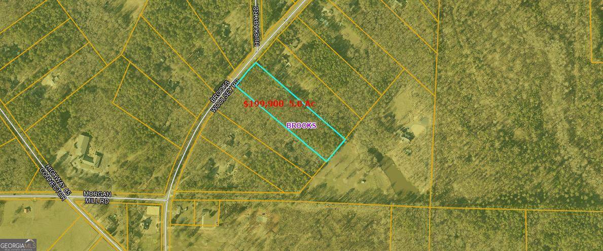 Brooks, GA 30205,LOT 4 Brooks Woolsey RD