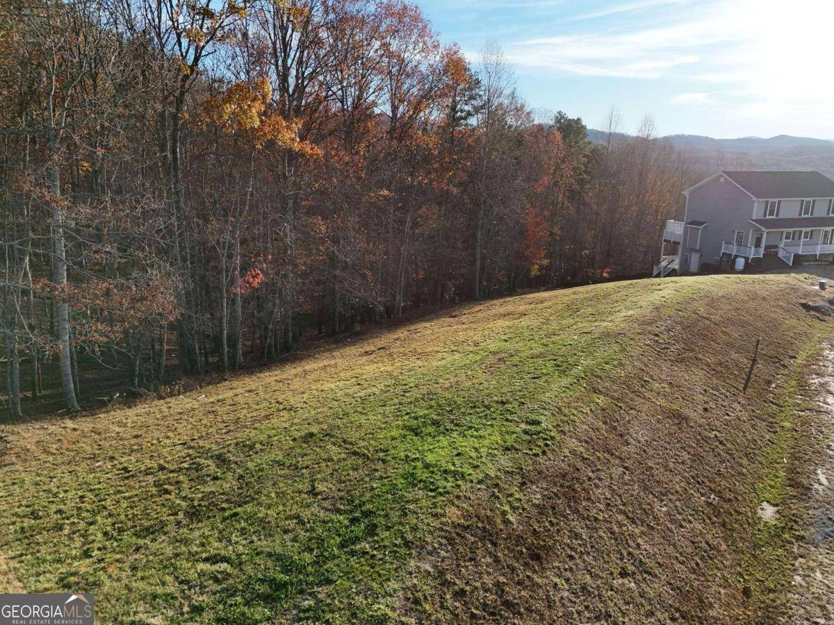 Morganton, GA 30560,LOT 37 Big Valley Overlook