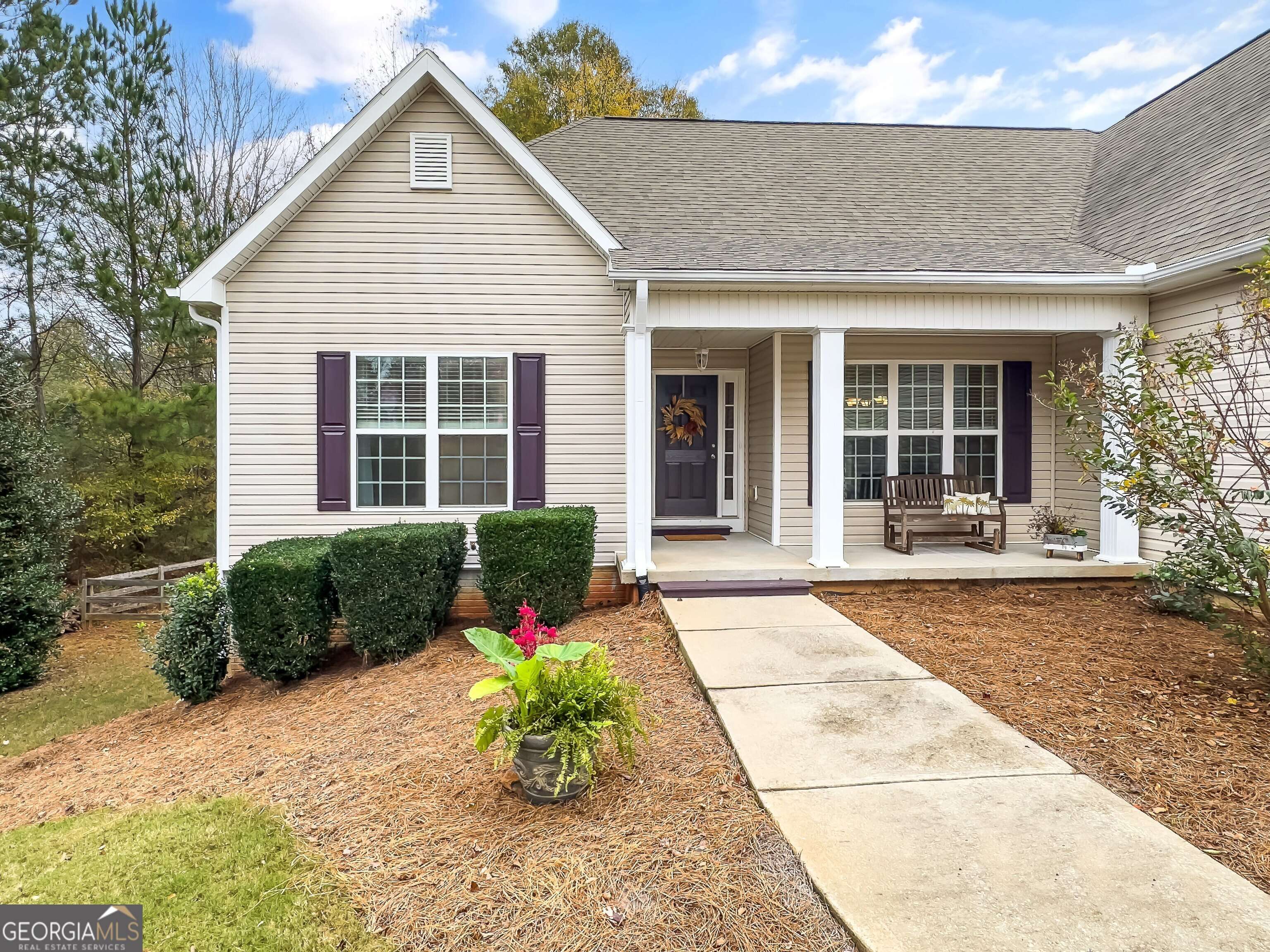 Senoia, GA 30276,42 Meadows LN