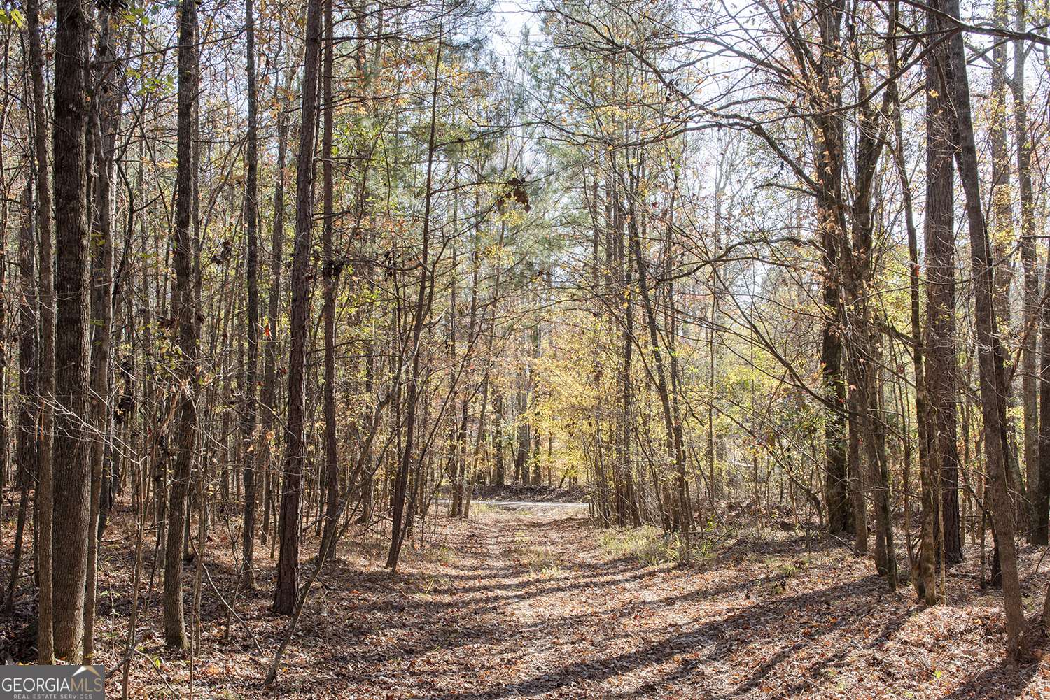 Greensboro, GA 30642,10AC Cunningham RD