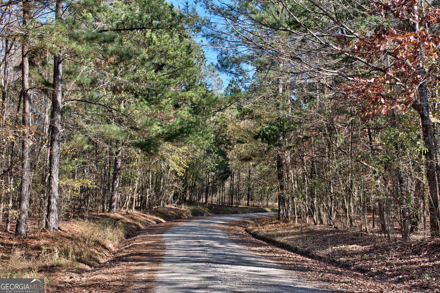 Greensboro, GA 30642,10AC Cunningham RD