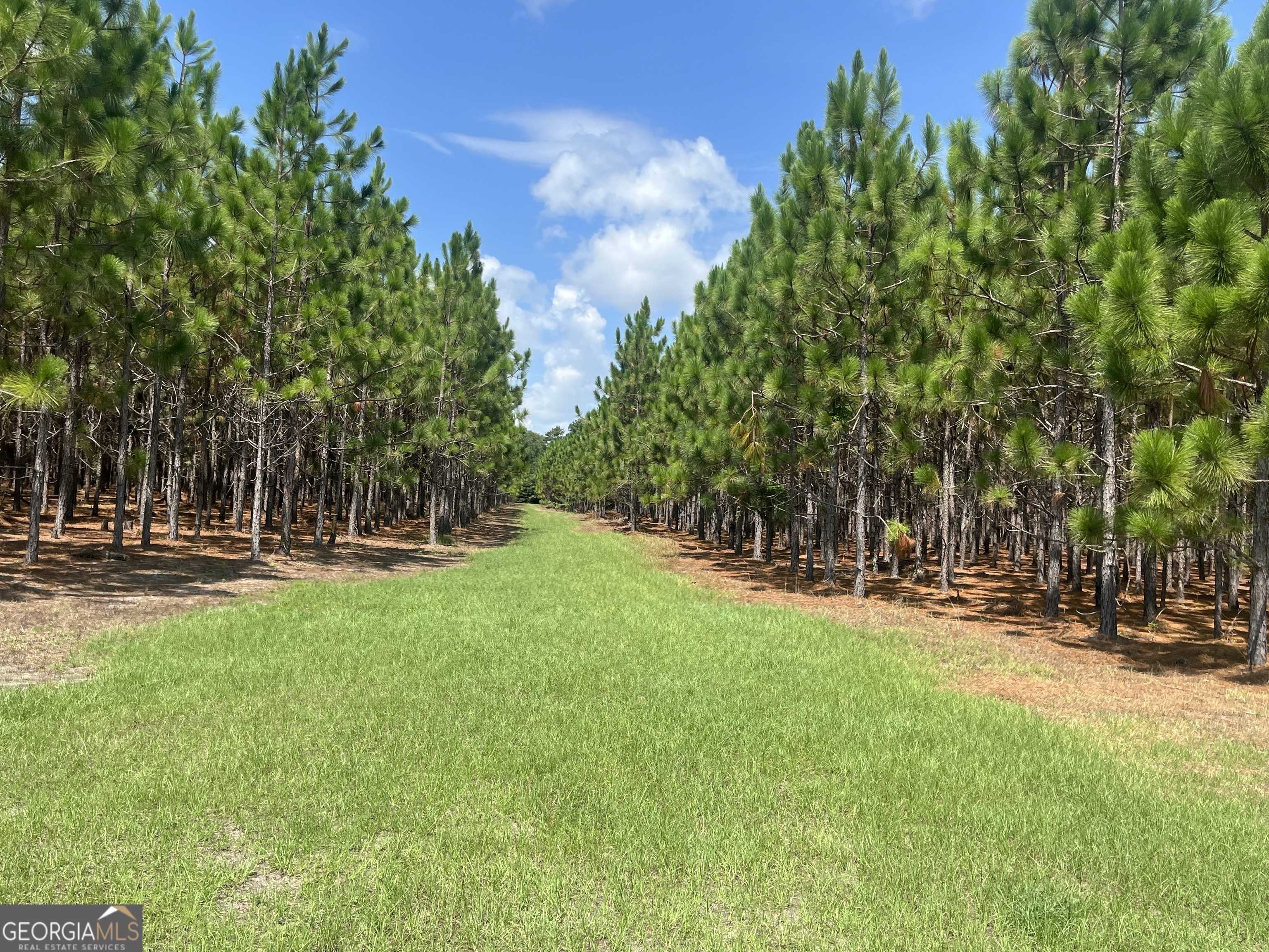 Waycross, GA 31501,112 ACRES Telemore Dixie Union Rd