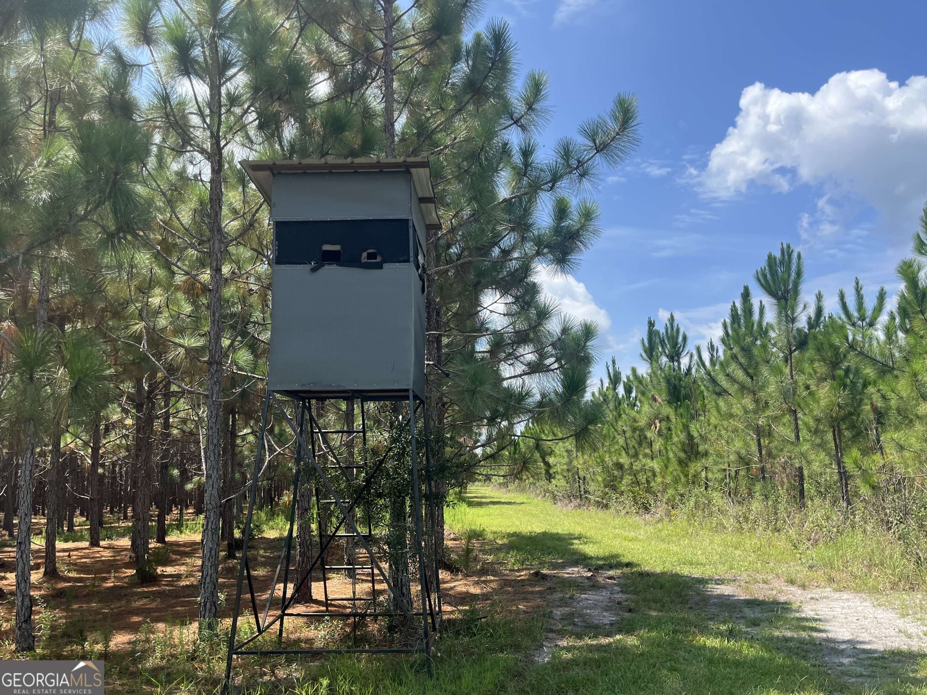 Waycross, GA 31501,112 ACRES Telemore Dixie Union Rd