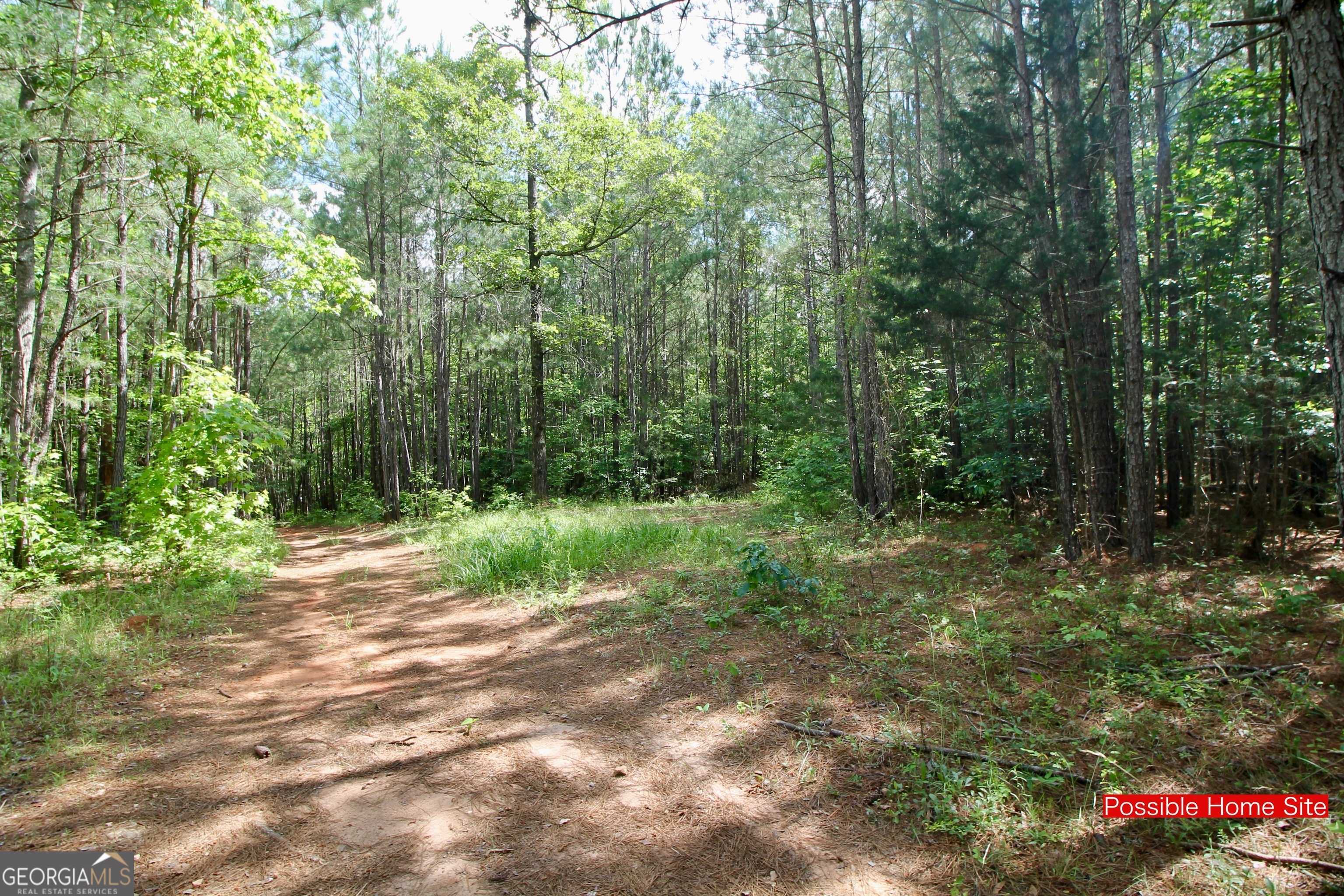 Forsyth, GA 31029,207 River Overlook