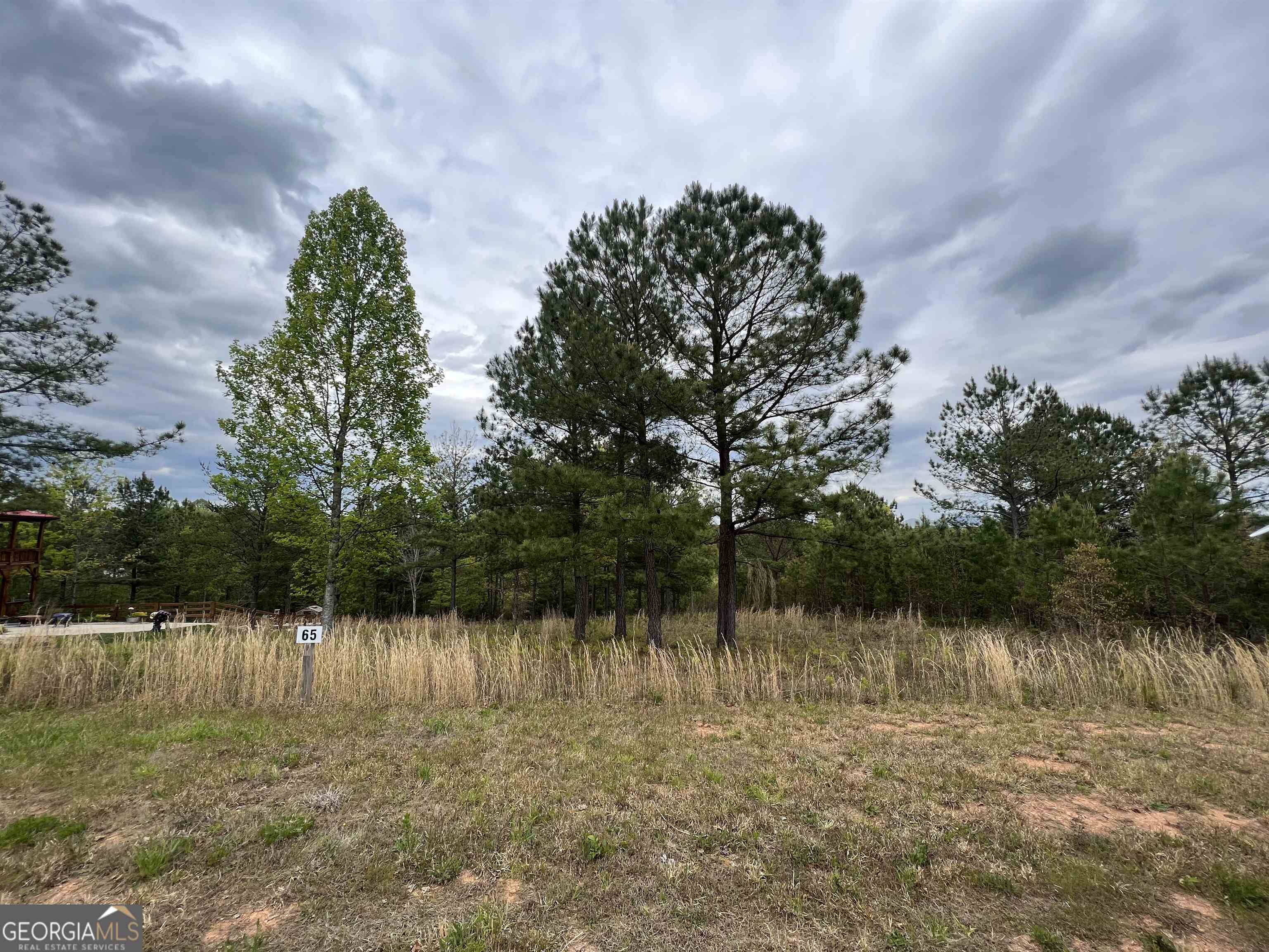 Blairsville, GA 30512,LOT 65 Village Loop