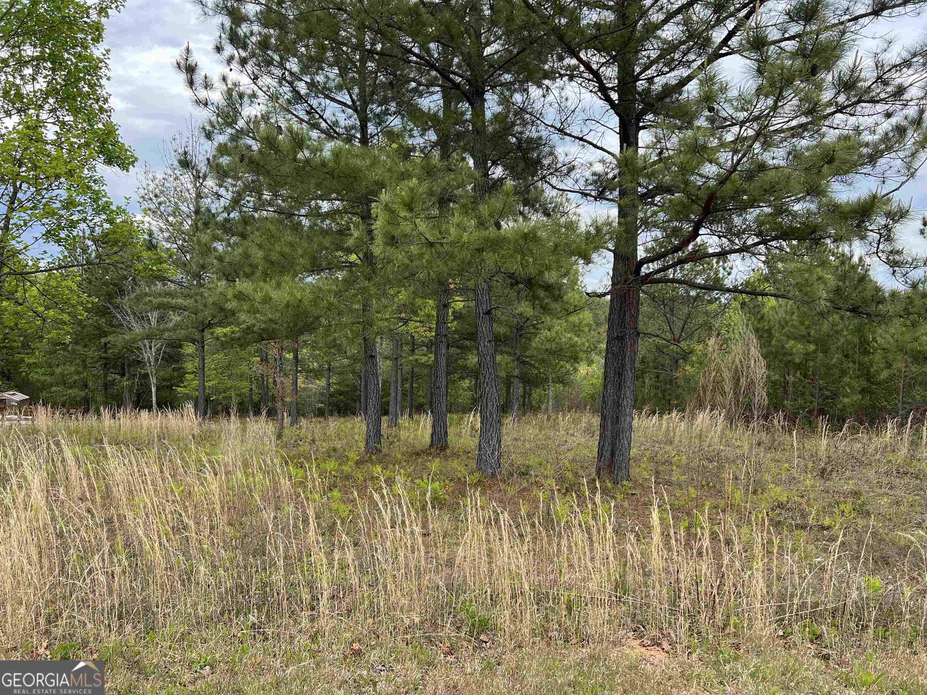 Blairsville, GA 30512,LOT 65 Village Loop