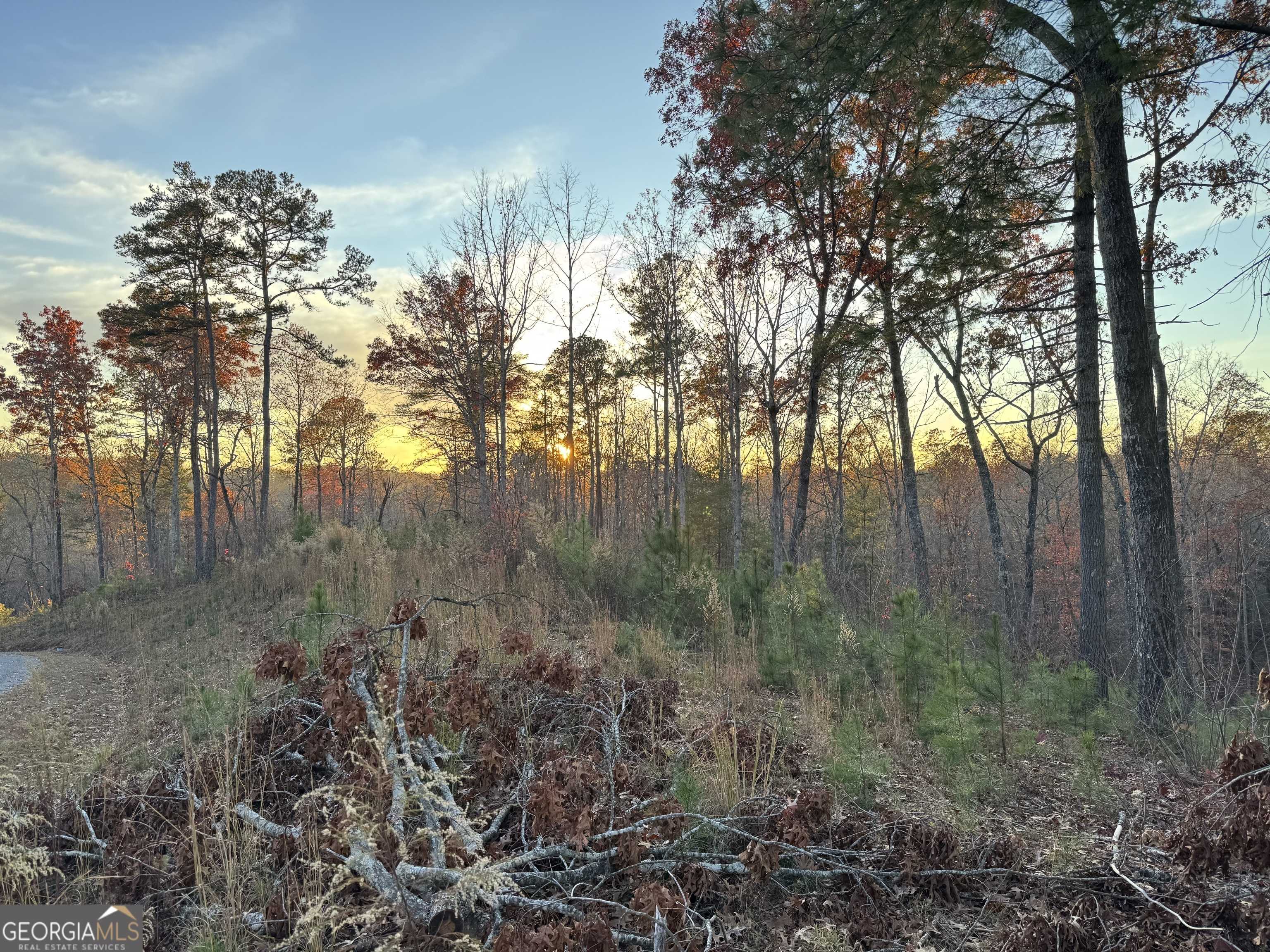 Ellijay, GA 30540,LOT 133 Sundown Trail