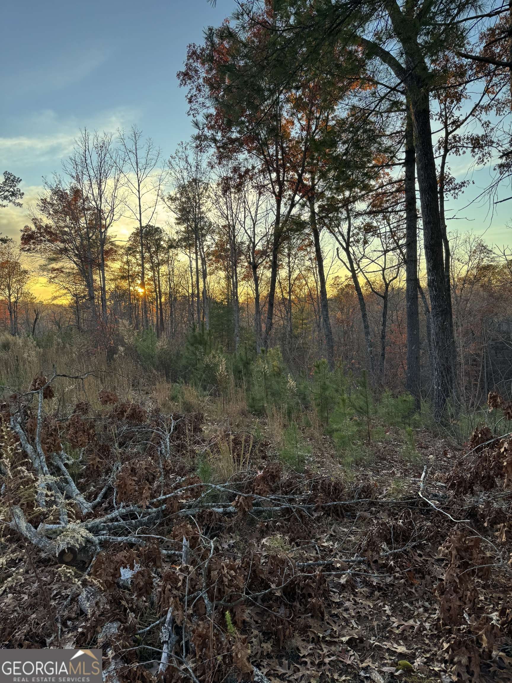 Ellijay, GA 30540,LOT 133 Sundown Trail