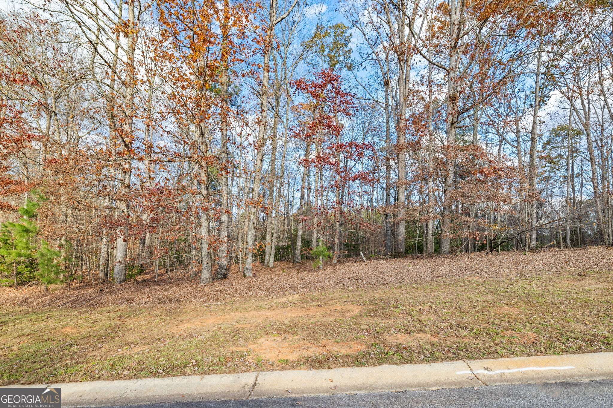 Cornelia, GA 30531,0 Beachwood DR