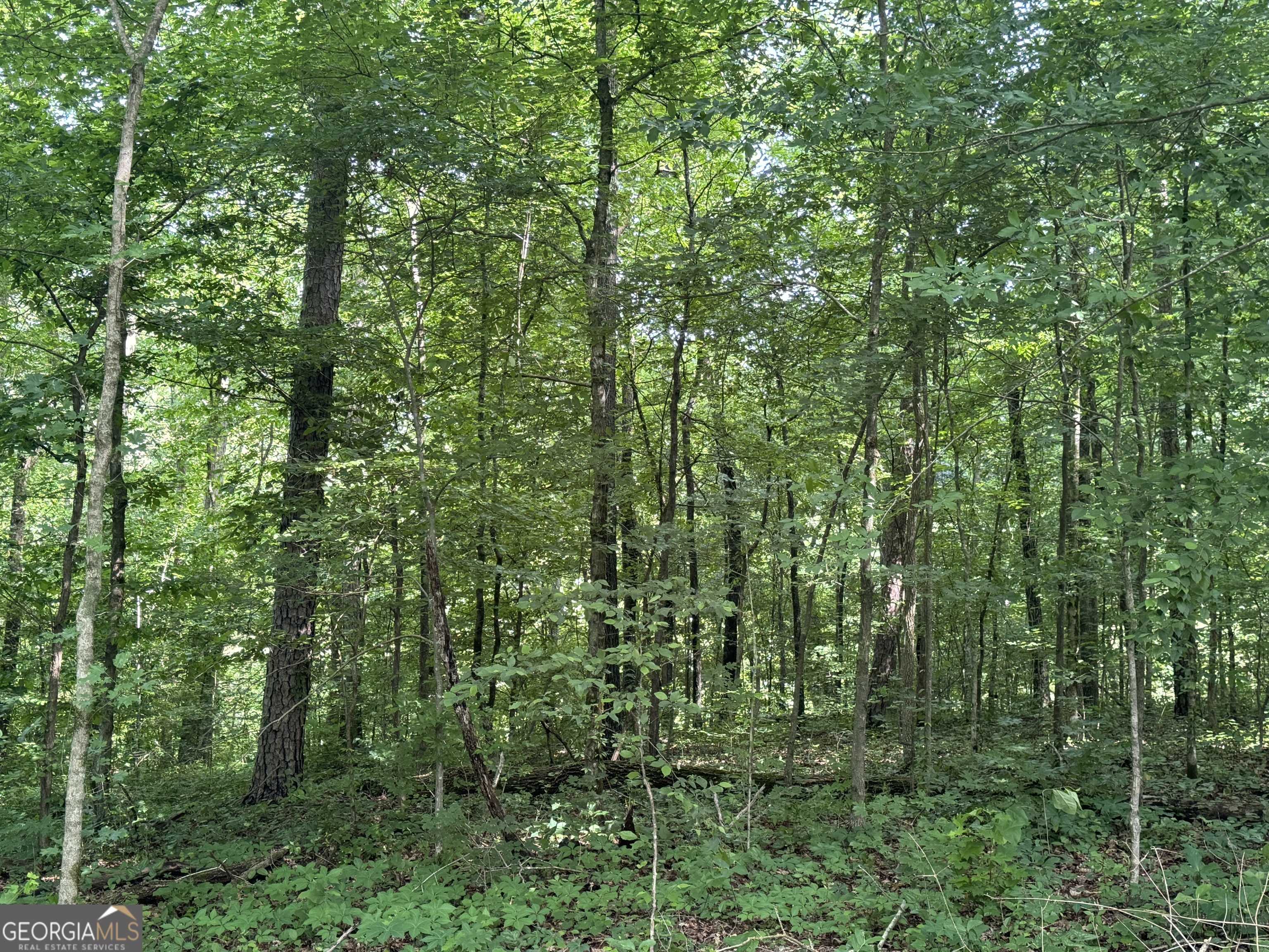 Commerce, GA 30530,LOT 24 Tomlin RD