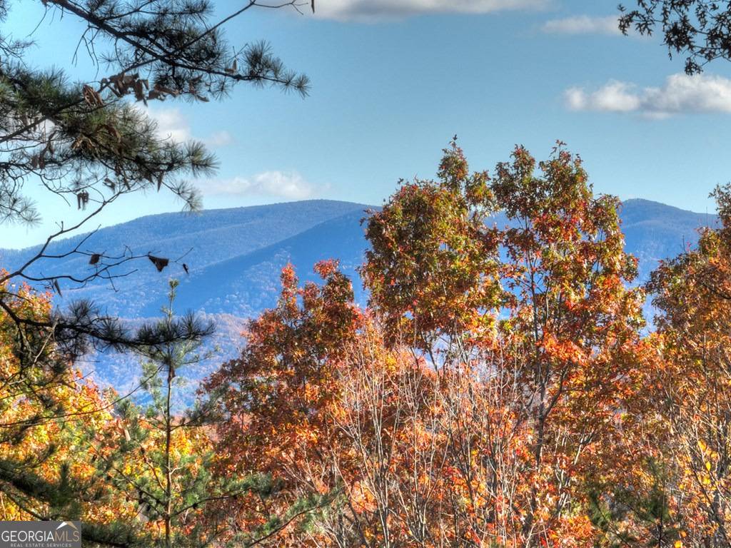 Cherry Log, GA 30522,462 Lower Prince Mountain RD