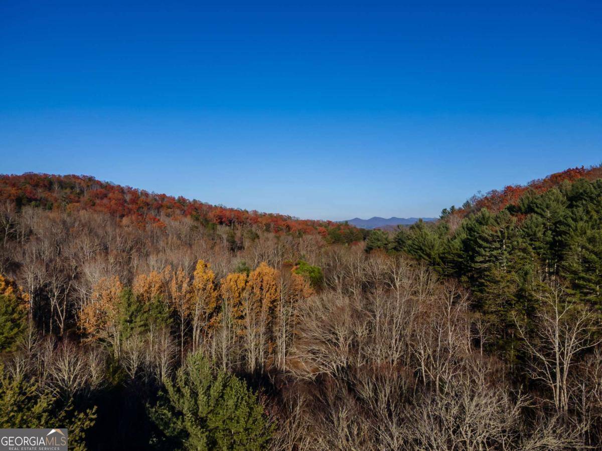 Blairsville, GA 30512,17 ACRES Mulky Branch LN #TR3